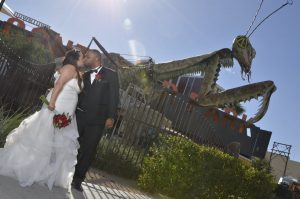 Wedding Packages in Las Vegas