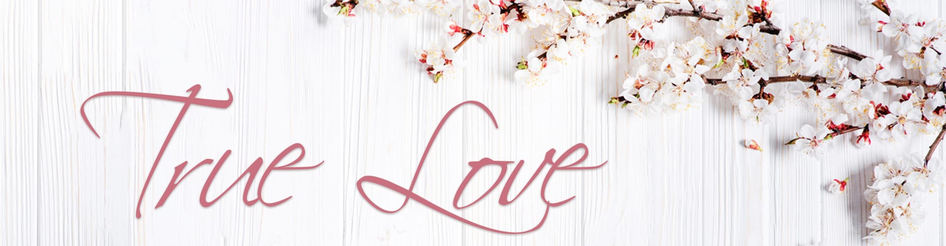 Weddings in Las Vegas_Our Story Main