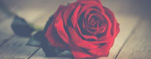 Anti-Valentine’s Day Ideas for Singles or Couples